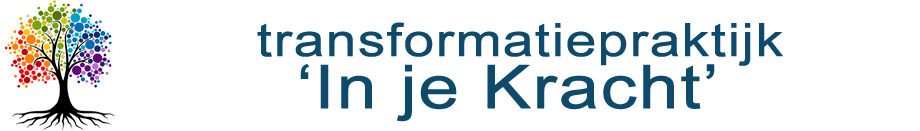 Transformatiepraktijk